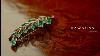 Alfred Philippe 1950 Brooch Dawsons Fine Jewellery