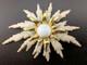 Alfred Philippe Crown Trifari Gold Plated Pearl Starburst Sunburst Pin Brooch