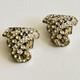 Antique Trifari Clip Mates Art Deco Rhinestone Dress Clips PAT 2050804 1930s