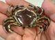 Crown Trifari Alfred Philippe 1940s Vermeil Jelly Belly Crab Brooch Pin Rare HTF