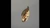 Crown Trifari Vintage Alfred Philippe Gold Tone Textured Faux Pearl Ribbed Leaf Brooch