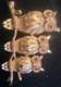 Mint Trio Of Owls VTG 1964 Book Piece Signed Crown Trifari Alfred Philippe Era