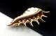 Rare Crown Trifari Faux Pearl Coral Enamel Conch Seashell Under The Sea Brooch