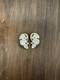 Rare Vintage Crown Trifari Alfred Philippe Moonstone Fruit Salad Earrings