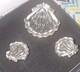 TRIFARI'Alfred Philippe Jelly Belly'Moonshell' Seashell Clip-On Earrings Pin