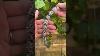 Trifari Ktf 1920s Bracelet Artdeco Artdecojewelry