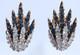 Vintage Crown Trifari Alfred Philippe Starflight Fireworks Sapphire